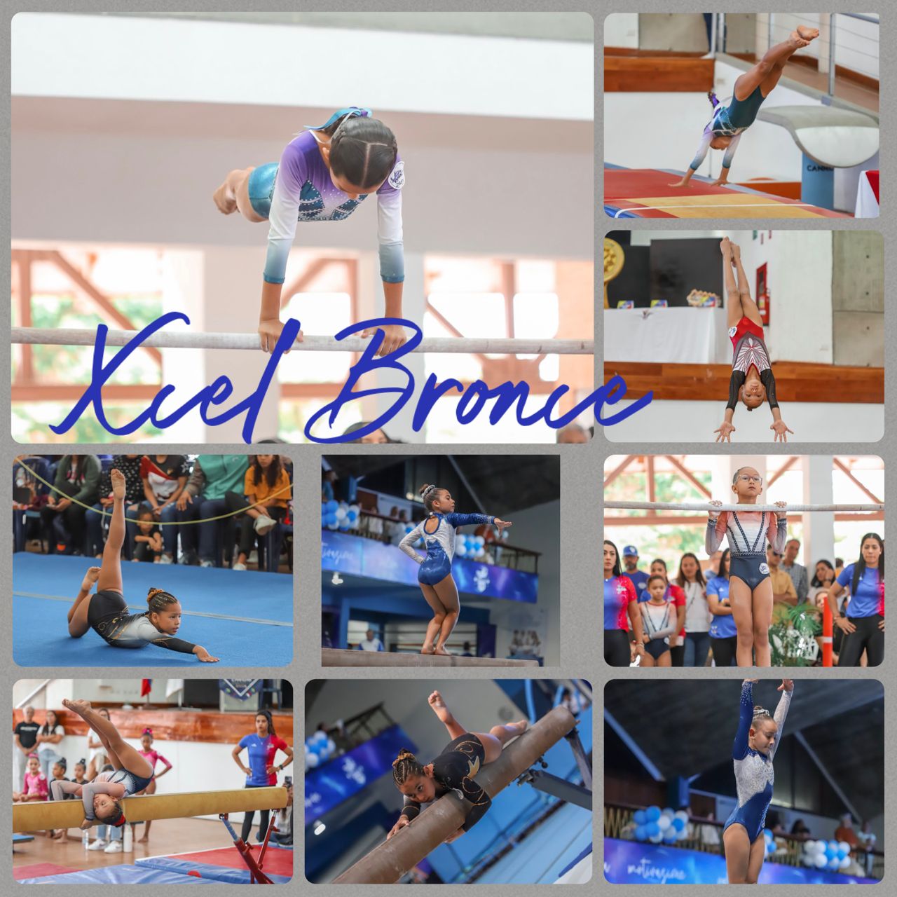Xcel Bronce